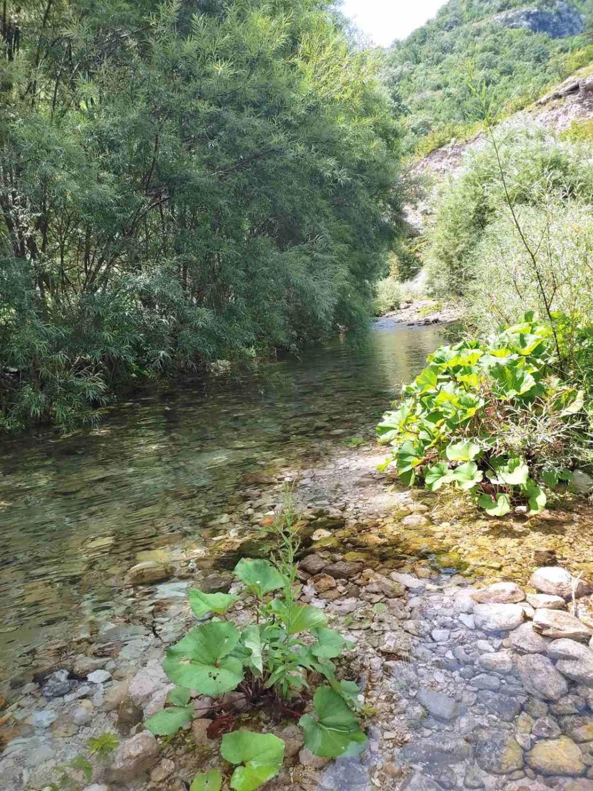 Villa Kuca Za Odmor Diva à Mostar Extérieur photo